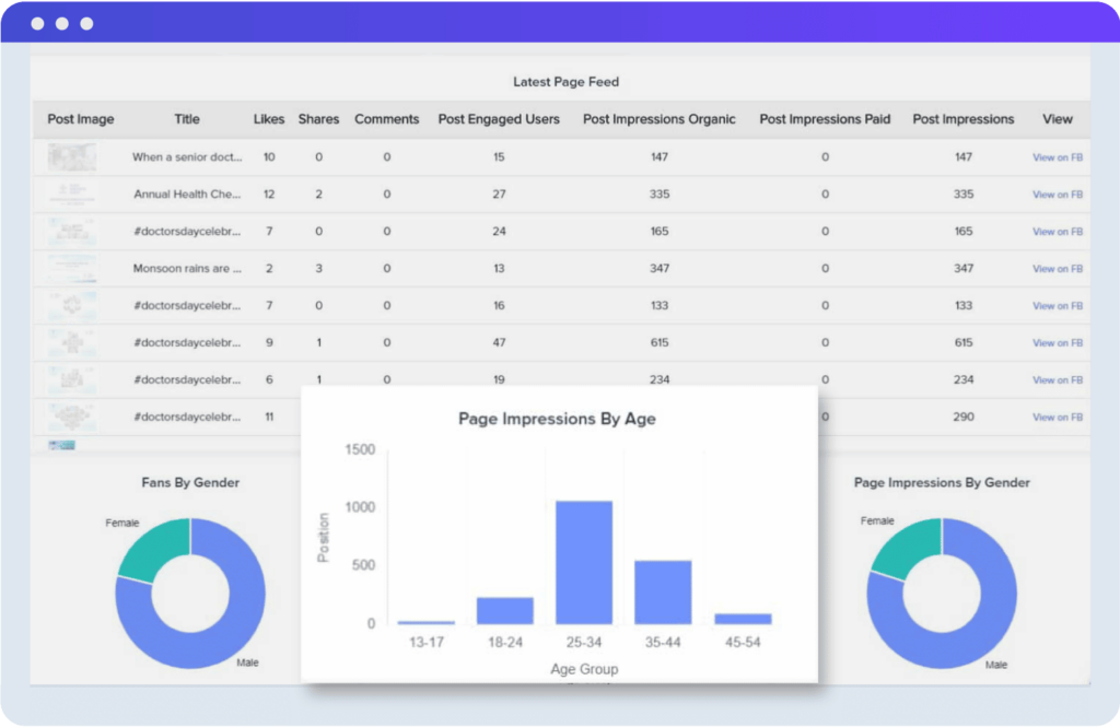 Facebook Page Insights Dashboard Software for Digital Agencies